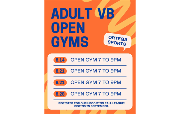 August Adult VB Open Gyms