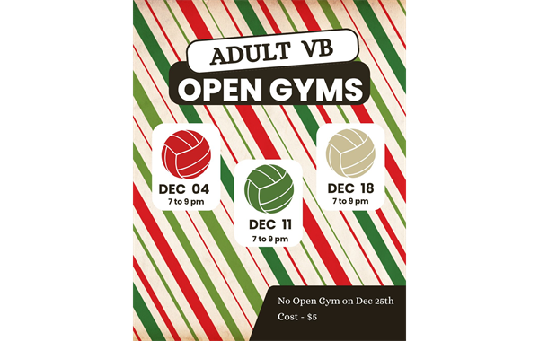 Volleyball Open Gyms